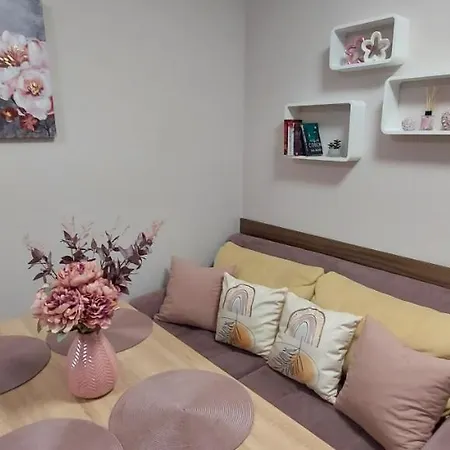 студио ервина רבדה