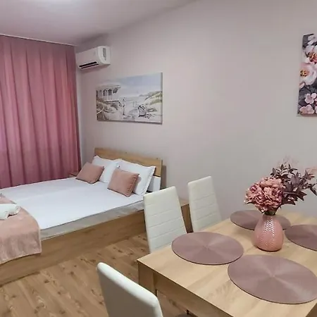 студио ервина רבדה