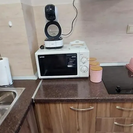 דירה студио ервина *