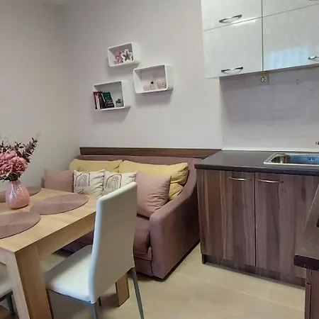 студио ервина Appartement
