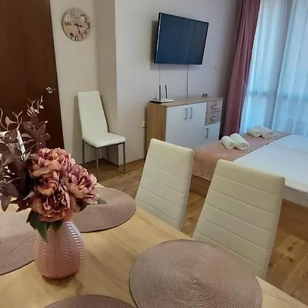 студио ервина *