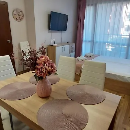 студио ервина Appartement Ravda