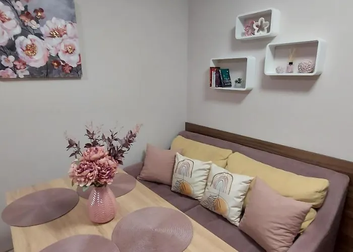 студио ервина Ravda