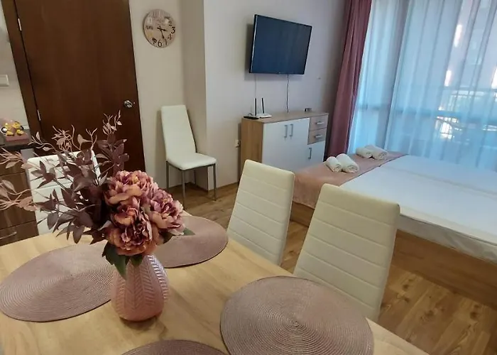 студио ервина *