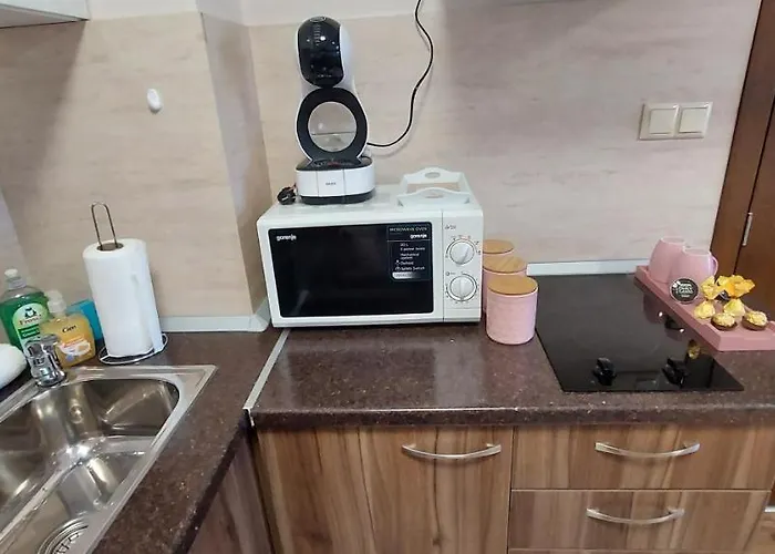 Apartamento студио ервина *